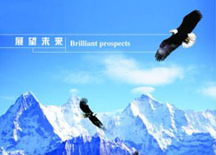 公司簡介
